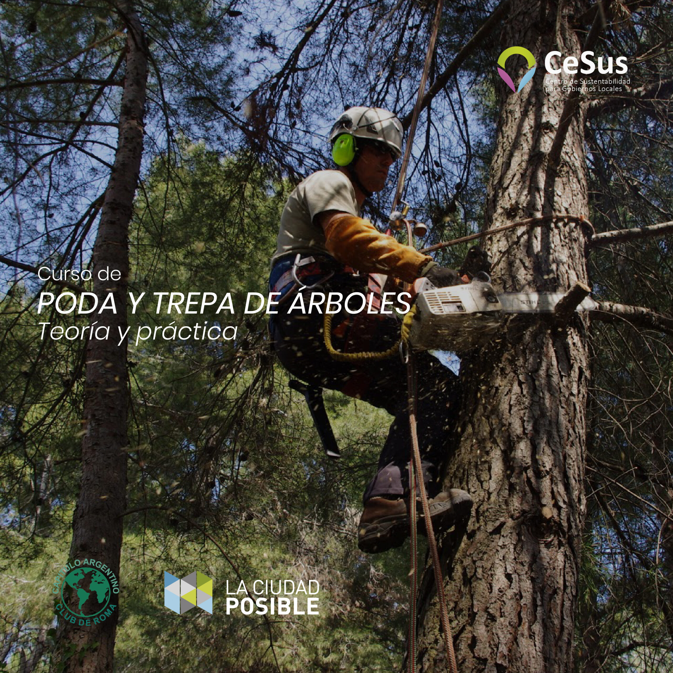 Trepa y Poda de árboles