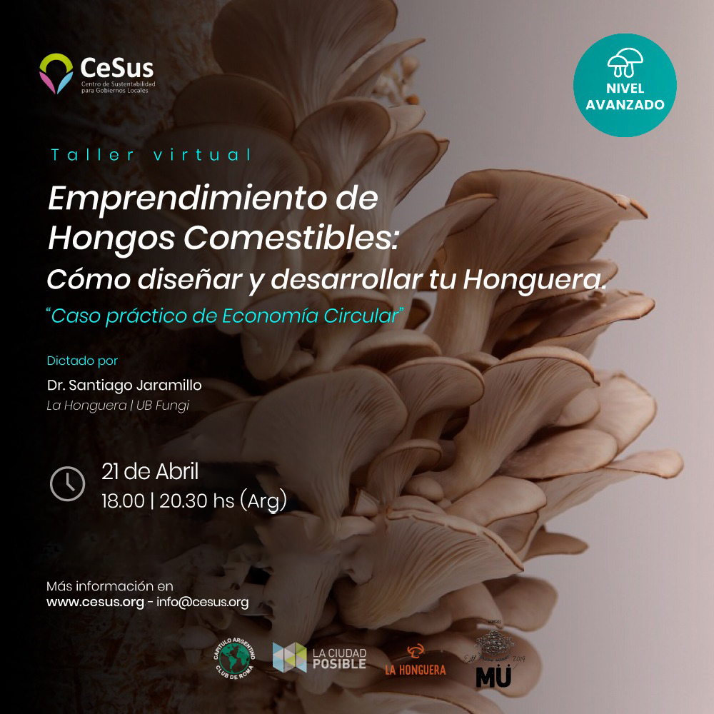 Emprendimiento de Hongos Comestibles: cómo diseñar y desarrollar tu honguera