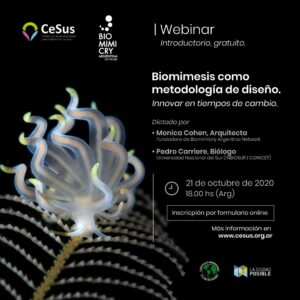 Biomimesis como metodología de diseño