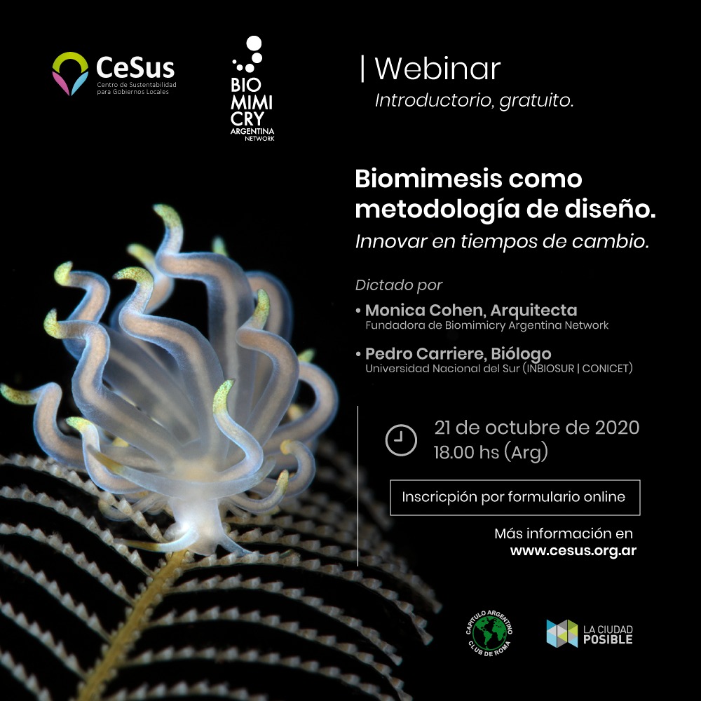 Biomimesis como metodología de diseño