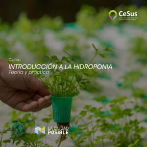Introducción a la Hidroponia