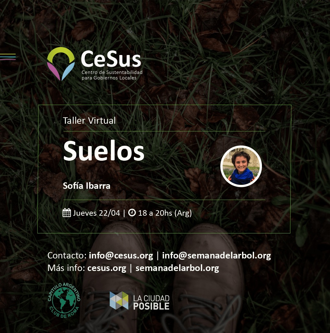 Suelos
