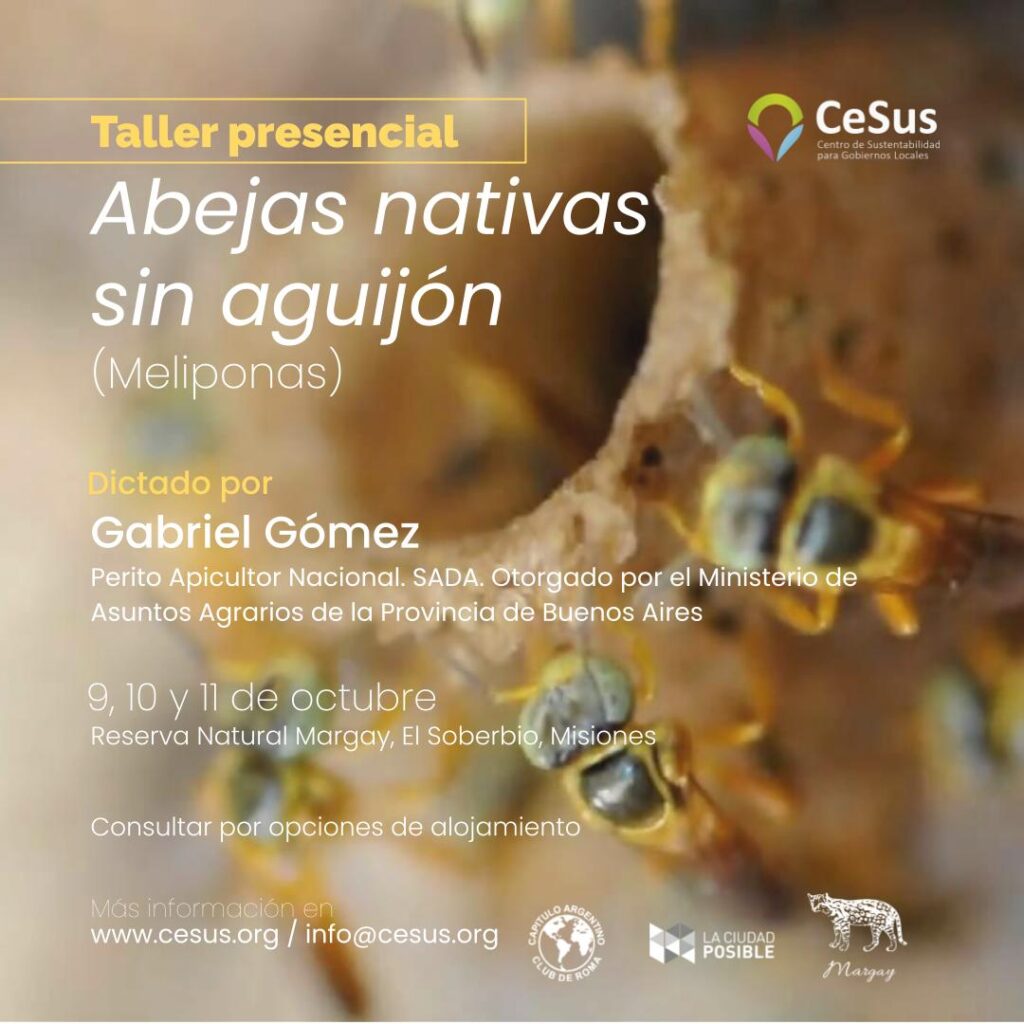 Taller presencial ABEJAS MELIPONAS de la Selva Misionera