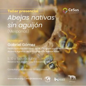 Taller presencial ABEJAS MELIPONAS de la Selva Misionera