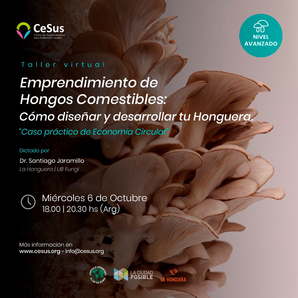 Emprendimiento de Hongos Comestibles: cómo diseñar y desarrollar tu honguera