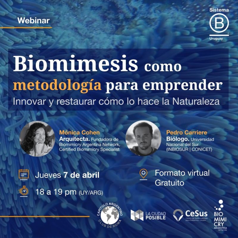 Webinar: Biomimesis como metodología para emprender