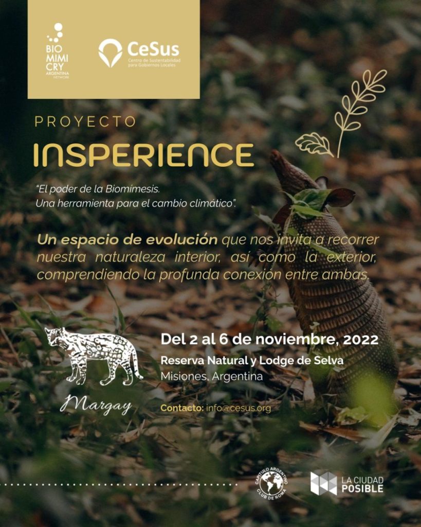 PROYECTO INSPERIENCE – CeSus